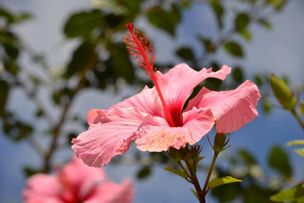 New Moon in Cancer — How To Work With The&nbsp;Energies